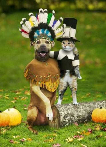 funny thanksgiving pictures (1)
